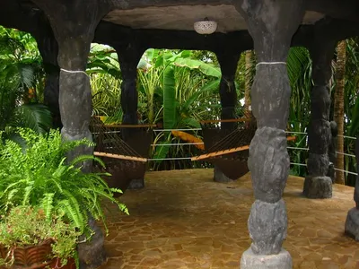 Photo 30