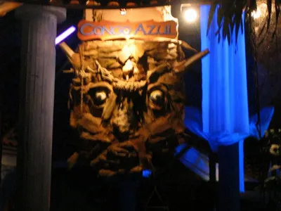 Photo 46