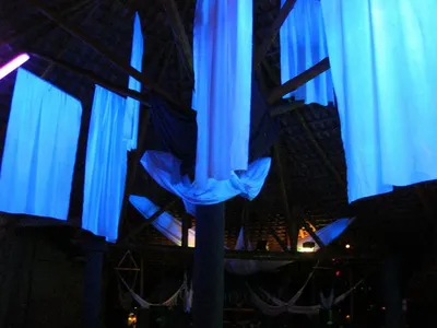 Photo 47