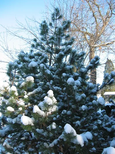 Photo 13