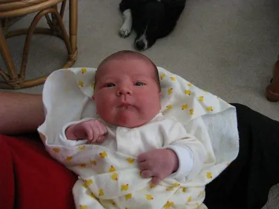 Photo 3