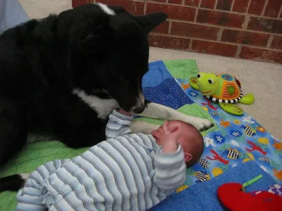 Photo 2