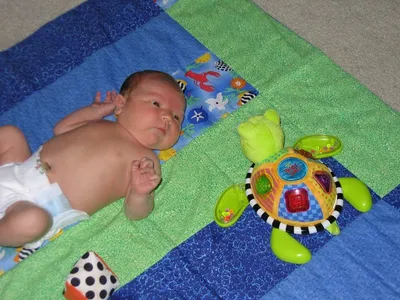 Photo 20