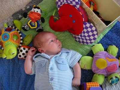 Photo 44