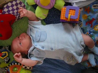 Photo 45