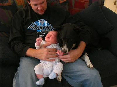 Photo 22