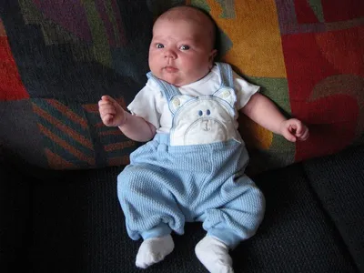 Photo 41