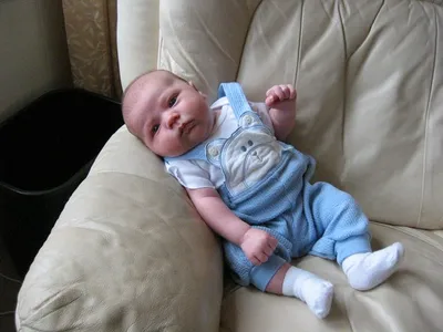 Photo 44