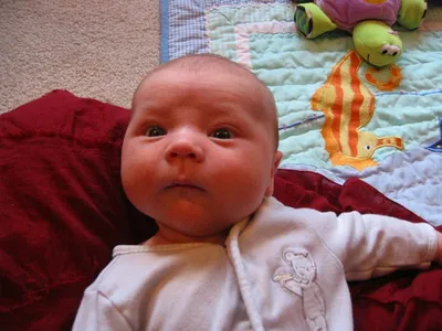 Photo 44