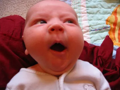Photo 47