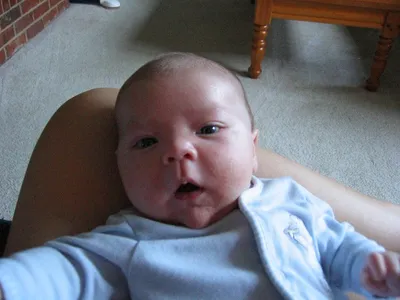 Photo 48