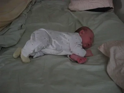 Photo 1