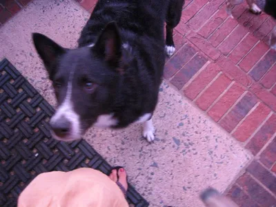Photo 7