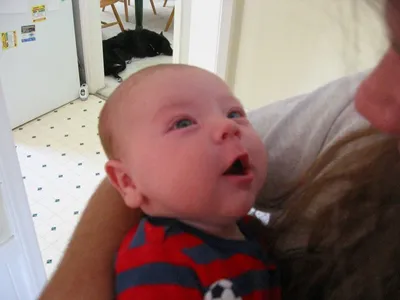 Photo 43