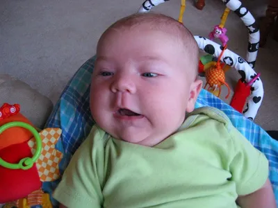 Photo 24