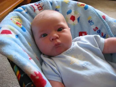 Photo 45