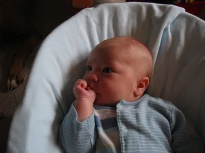 Photo 36