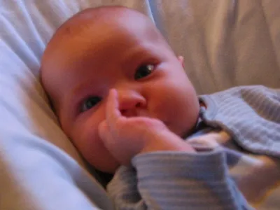 Photo 43