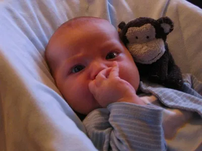 Photo 44