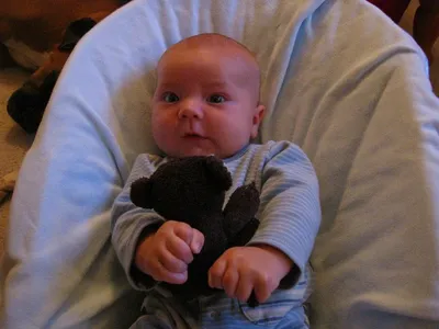Photo 47