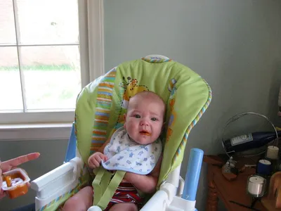 Photo 49