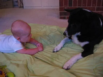 Photo 40
