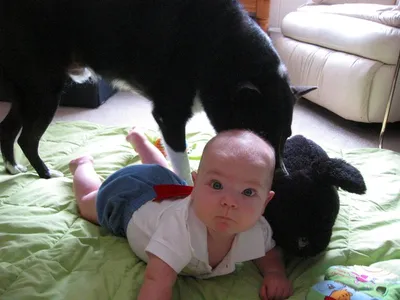 Photo 49