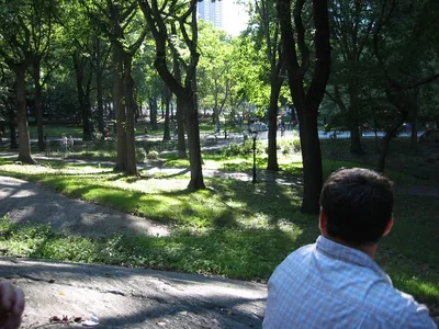 Photo 29