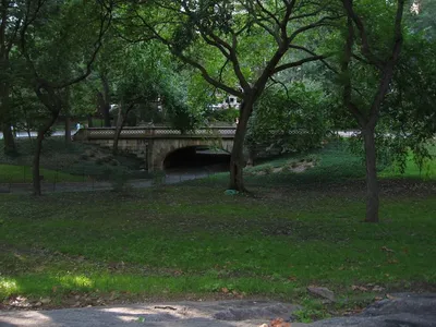 Photo 30