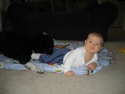 Photo 20
