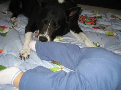 Photo 21