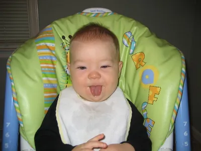 Photo 32