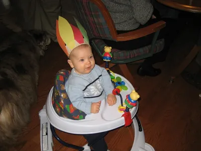 Photo 45