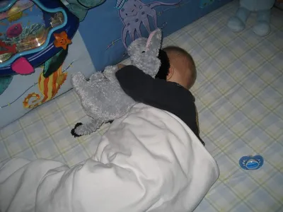Photo 219