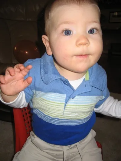 Photo 24