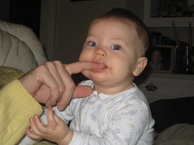 Photo 40