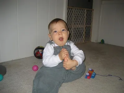 Photo 62