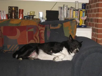 Photo 18