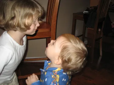 Photo 21