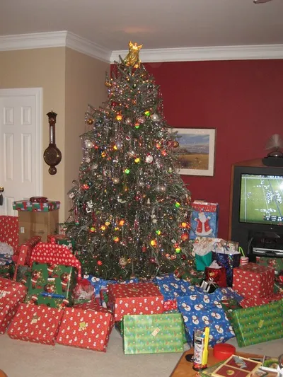 Photo 22