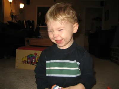 Photo 24