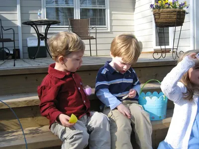 Photo 48