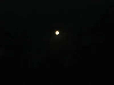 The Moon